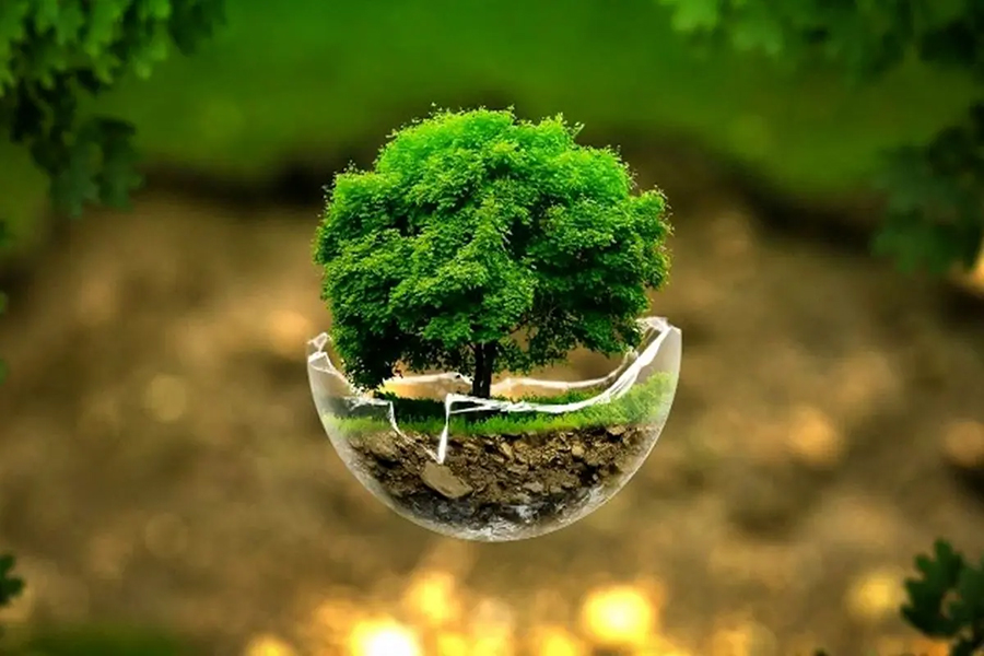 تاکید بر حفظ مرجعیت کنوانسیون تنوع زیستی در وزارت جهادکشاورزی